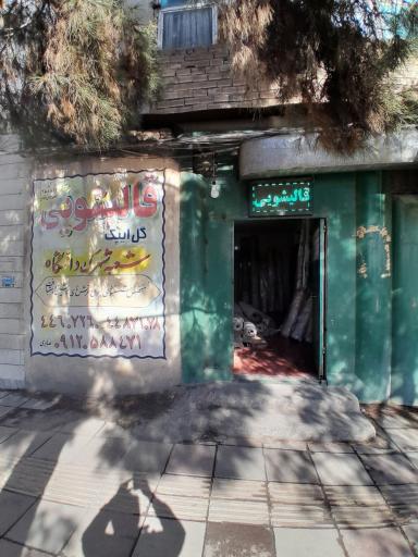 عکس قالیشویی شهرک دانشگاه