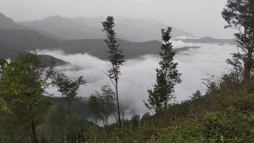 عکس دیلمان