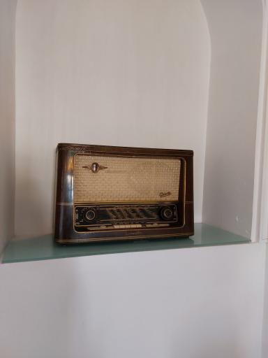 عکس باغ موزه وزیری 