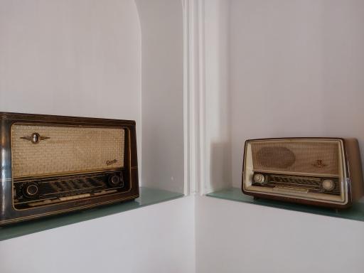 عکس باغ موزه وزیری 