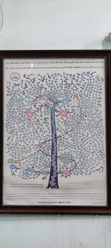 عکس امامزاده احمد