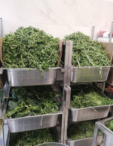 عکس سبزی خردکنی دنیای سبز ریحانه 