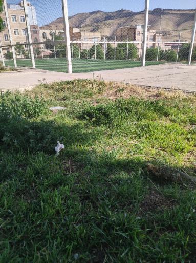 عکس زمین چمن مصنوعی 