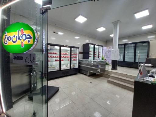 عکس جهان مرغ