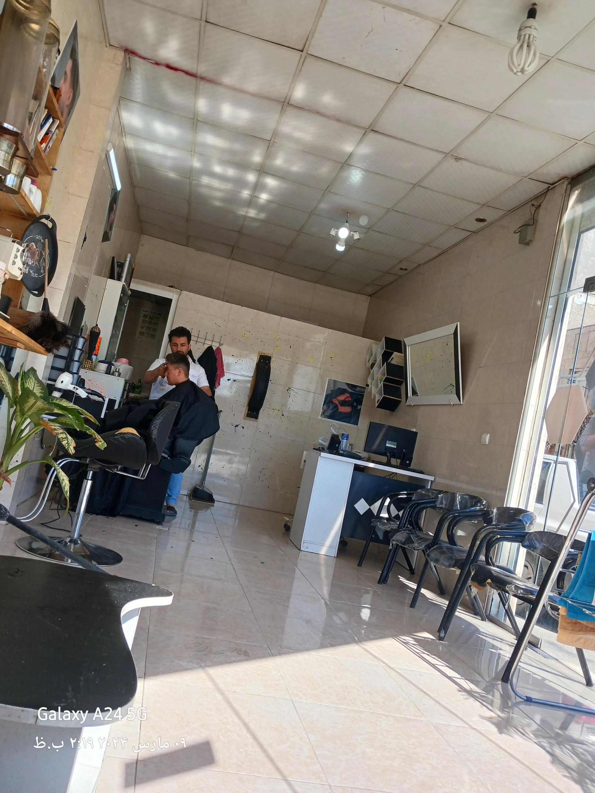 عکس پیرایش کندو 