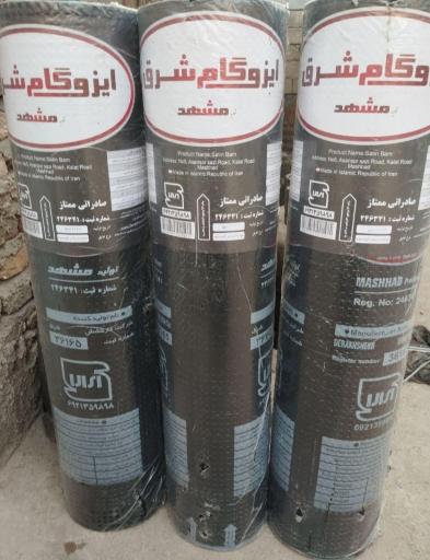 عکس ایزوگام احمدی کیا 