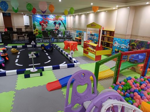 عکس خانه بازی سوفیا 