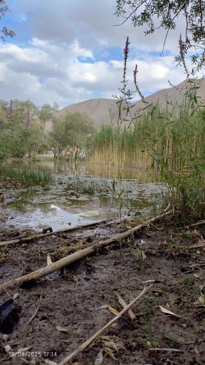 عکس دریاچه گهر