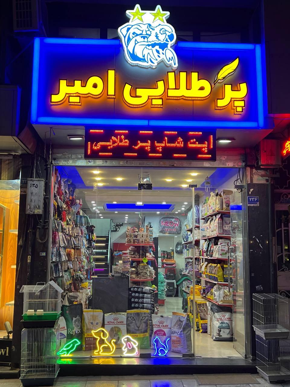 عکس پت شاپ پرطلایی امیر
