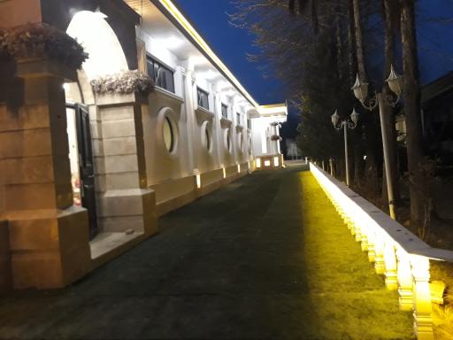 عکس باغ تالار عمارت آمالیس 