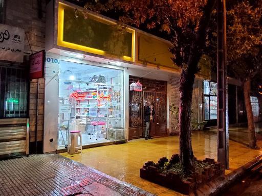 عکس چیکو پرند