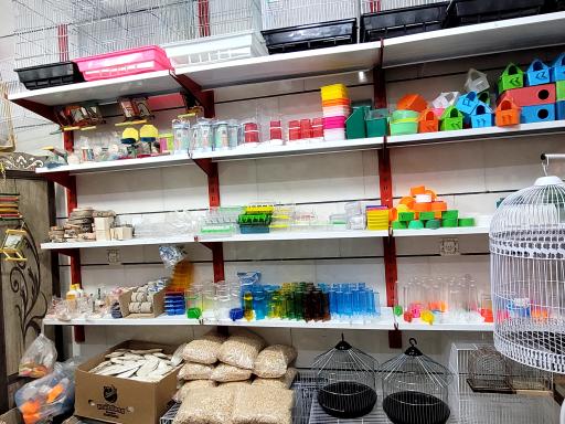 عکس چیکو پرند