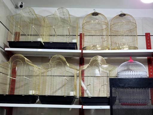 عکس چیکو پرند