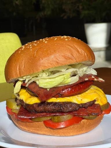 عکس فست فود دایا