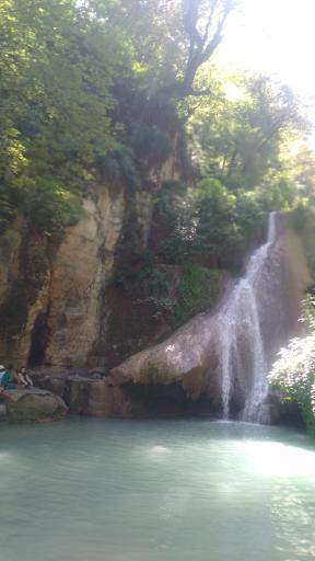 عکس جنگل لوه