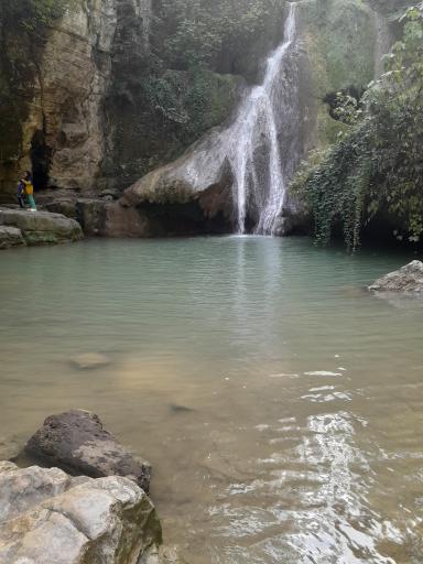 عکس جنگل لوه