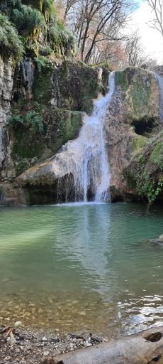 عکس جنگل لوه