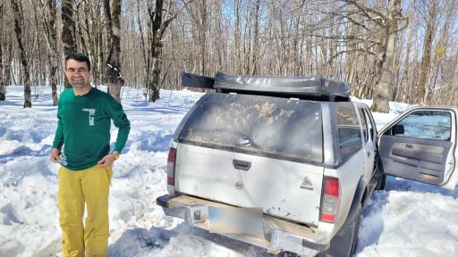 عکس جنگل لوه