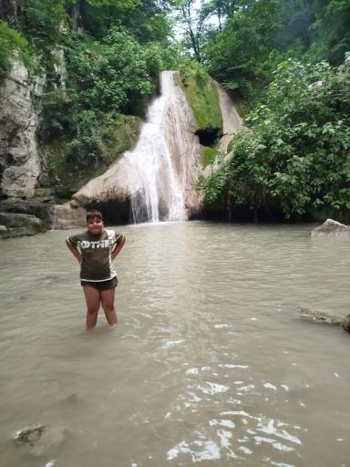 عکس جنگل لوه