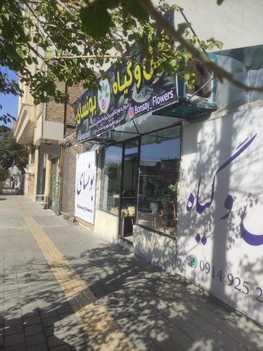 عکس گلخانه بونسای