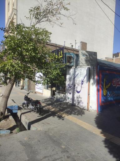 عکس گلخانه بونسای