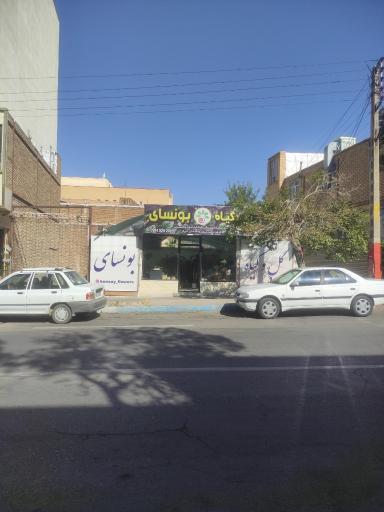عکس گلخانه بونسای