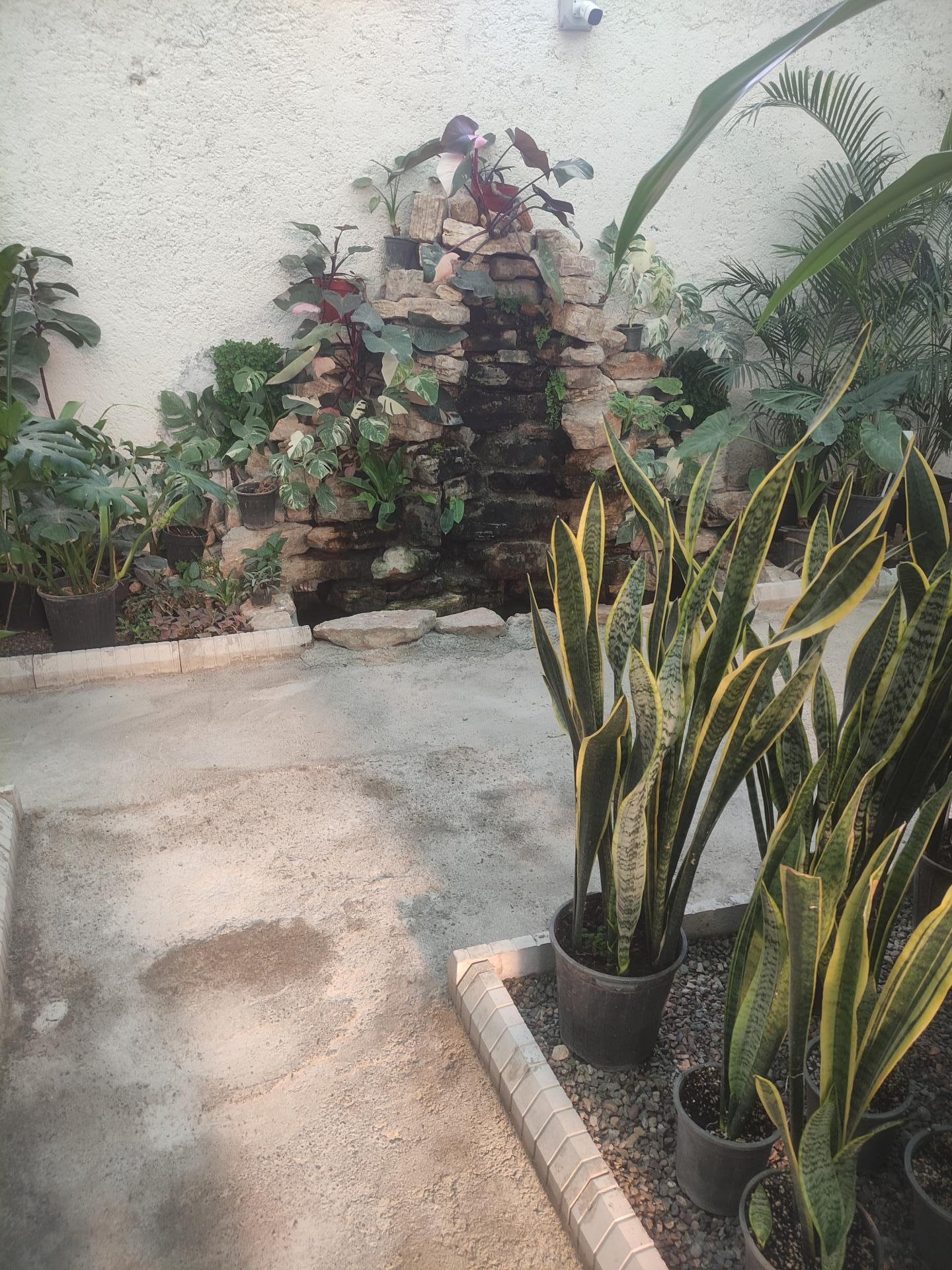 عکس گلخانه بونسای