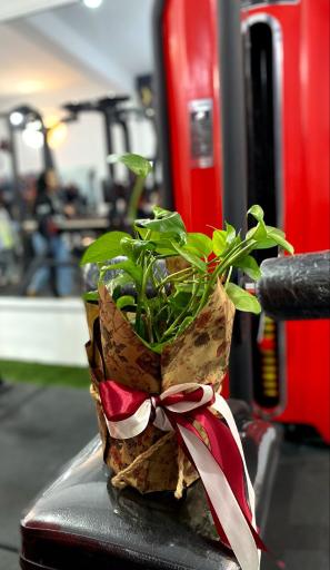 عکس باشگاه لایف فیتنس