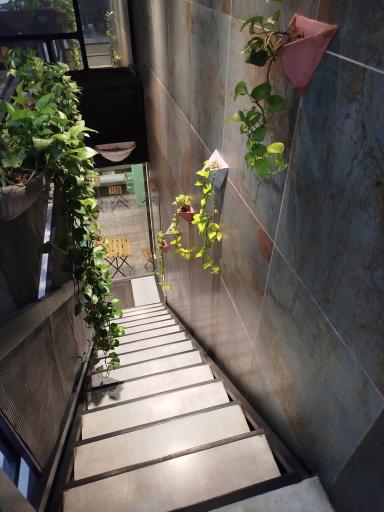 فست فود بورک 