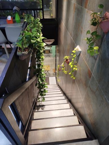 عکس فست فود بورک 