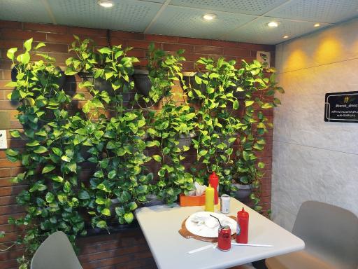 عکس فست فود بورک 