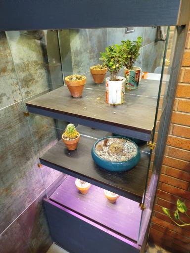 عکس فست فود بورک 