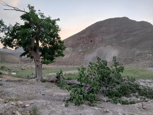 عکس تبلو