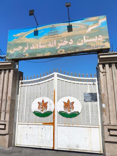 عکس دبستان شاهد نرجس ناحیه 4