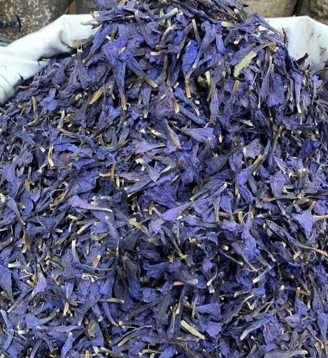 عکس عطاری کریمی