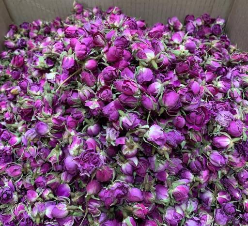 عکس عطاری کریمی