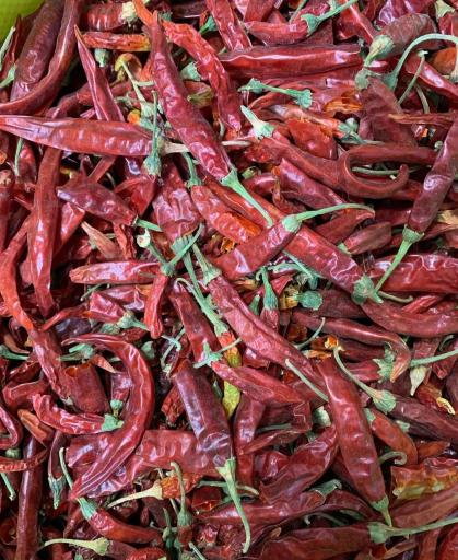 عکس عطاری کریمی
