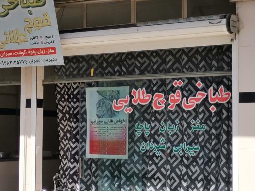 عکس طباخی قوچ طلایی