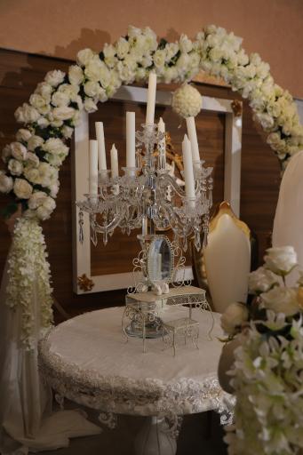 عکس سالن عقد شاخه نبات