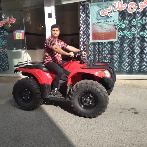 عکس طباخی قوچ طلایی