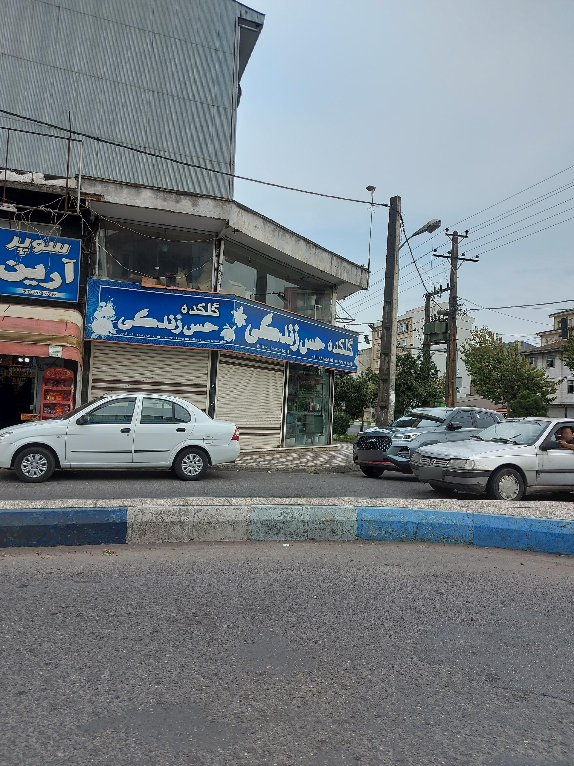 عکس گلکده حس زندگی 