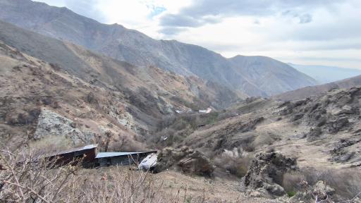 عکس جنگل کارا