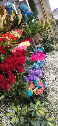 عکس گلفروشی آقای گل