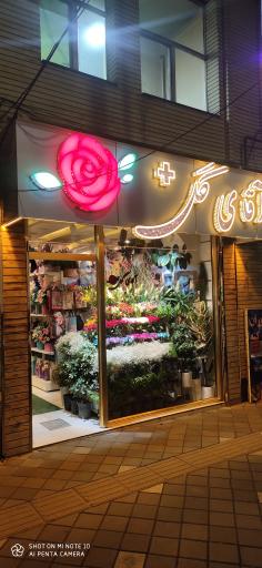 عکس گلفروشی آقای گل