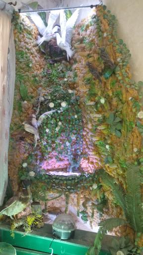 عکس دفتر ازدواج 60 قم