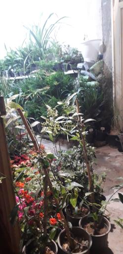 گل‌فروشی گلستان حسینی