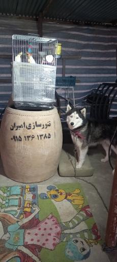 انبار تنورسازی امیران