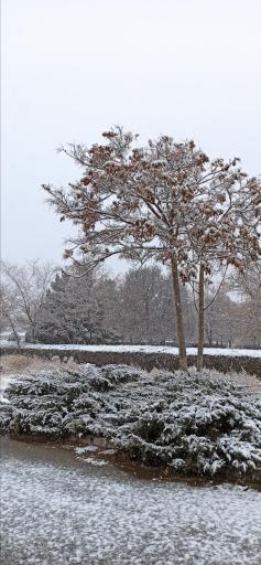 عکس مرکز رشد 3 دانشگاه فردوسی مشهد