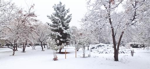 عکس مرکز رشد 3 دانشگاه فردوسی مشهد