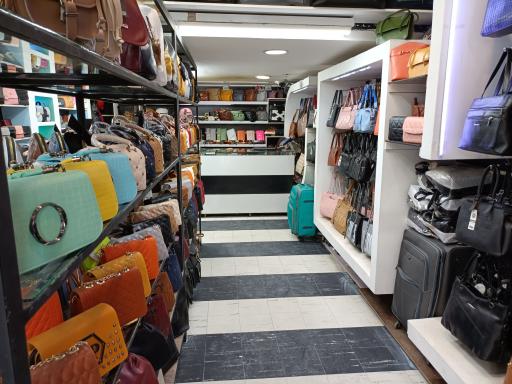 عکس کیف شانزه لیزه